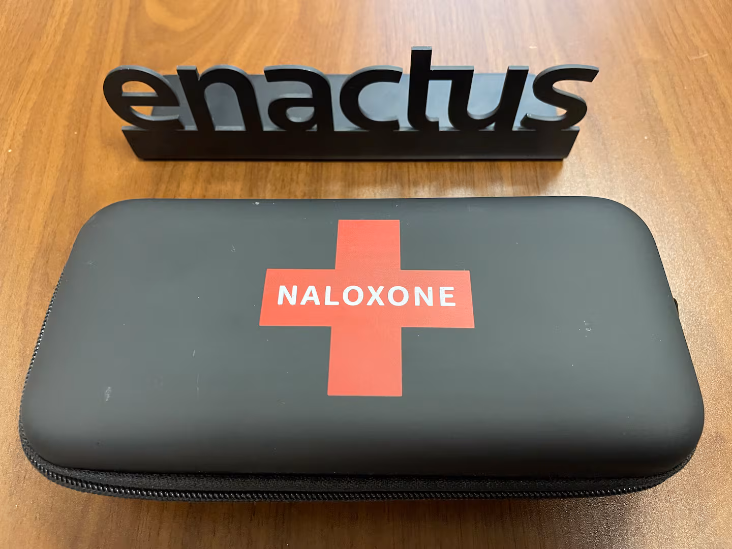 ‘Why not me?’: University students tackle Windsor’s opioid crisis