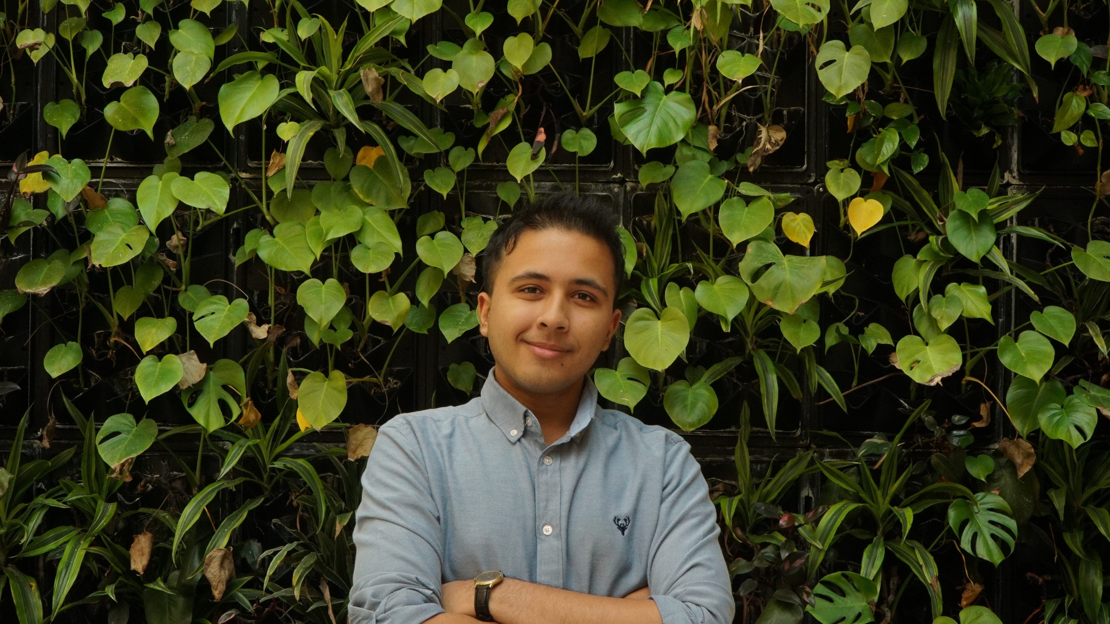 Harris Sami